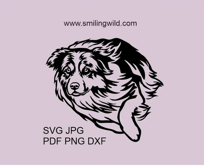 Herding Australian Shepherd dog SVG PNG DXF clipart vector file for Cricut crafts and smooth laser cutting in running position