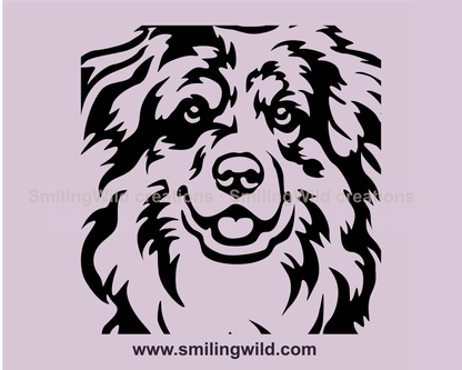 smiling australian shepherd face illusration in digital art