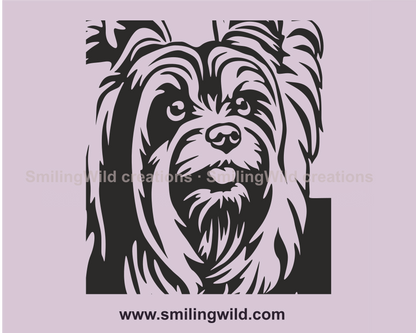 australian silky terrier face