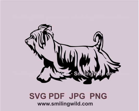 running Australian silky terrier graphic design with transparent background