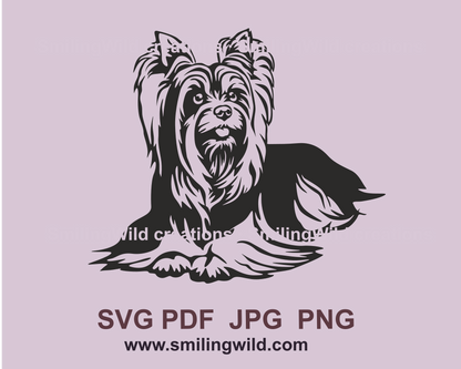 Lying australian silky terrier in black cuttable design