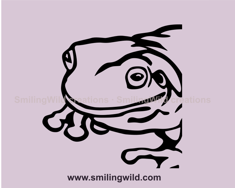 australian green tree frog digital portrait in black color
