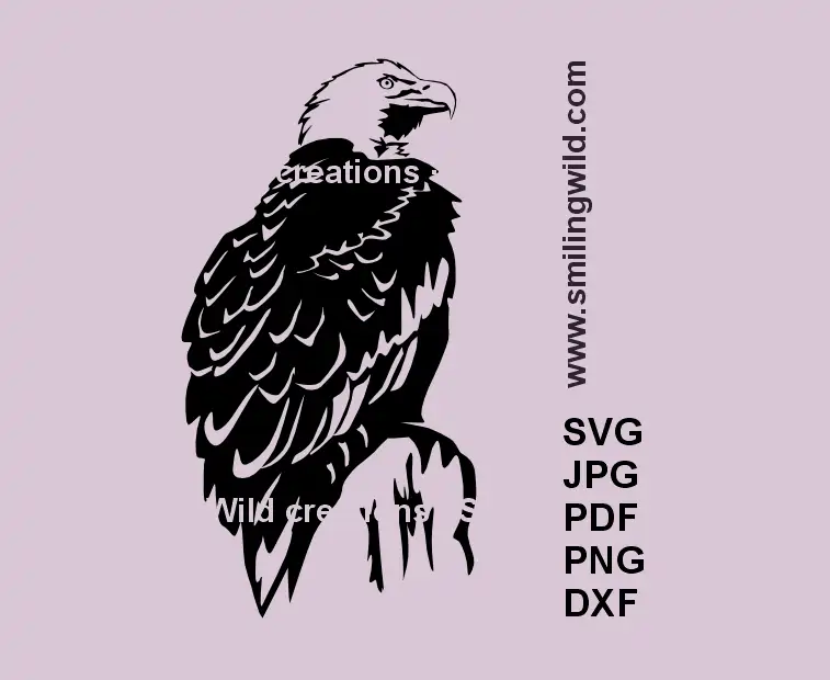 Bald eagle SVG vector clipart for Cricut and laser cutting