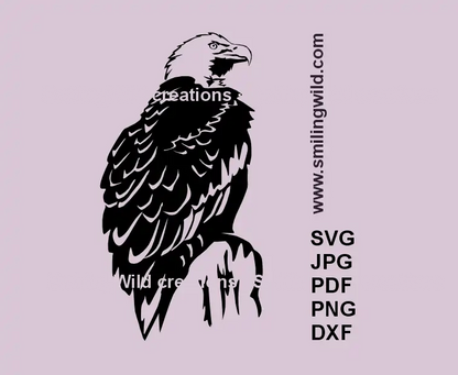 Bald eagle SVG vector clipart for Cricut and laser cutting