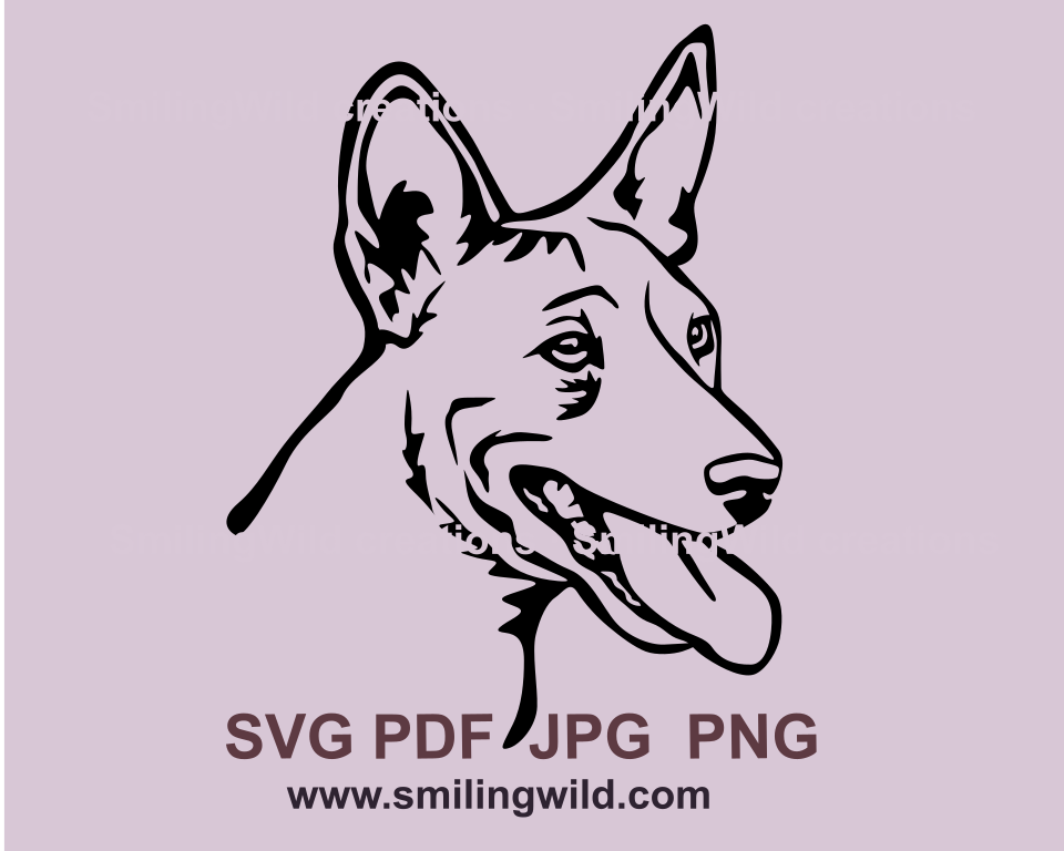 SMiling basenji portrait