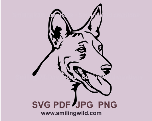 SMiling basenji portrait