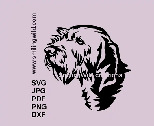 Basset Fauve de Bretagne SVG DXF PNG head clipart – vector file for Cricut cutting and digital crafting