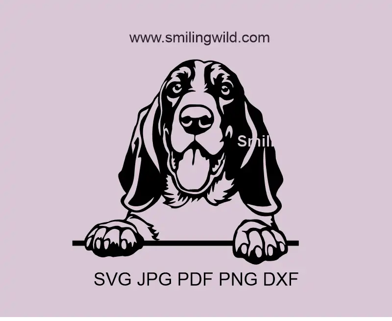 Basset Hound with a smiling face SVG PNG DXF clipart file of Peeking Dog Art collection. Vector graphic optimized for Cricut vinyl decals