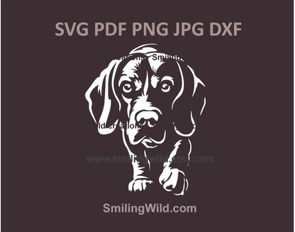 Beagle SVG & PNG, DXF vector clipart for Cricut, Silhouette, and laser cutting projects, featuring black and white hunting dog design for DIY crafts