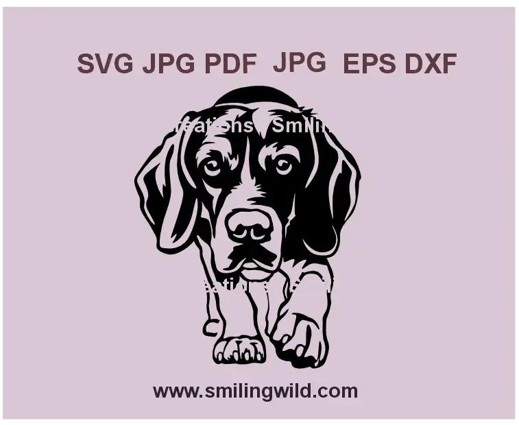 Beagle SVG PNG DXF – Realistic hunting dog vector illustration for wall art decor, Cricut, and laser cutting projects