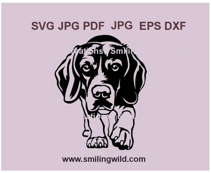 Beagle SVG PNG DXF – Realistic hunting dog vector illustration for wall art decor, Cricut, and laser cutting projects