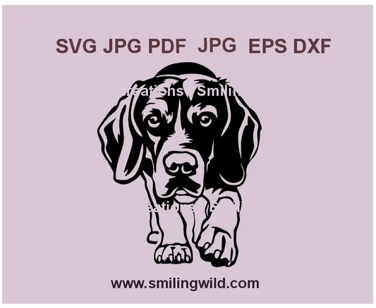 Beagle SVG PNG DXF – Realistic hunting dog vector illustration for wall art decor, Cricut, and laser cutting projects