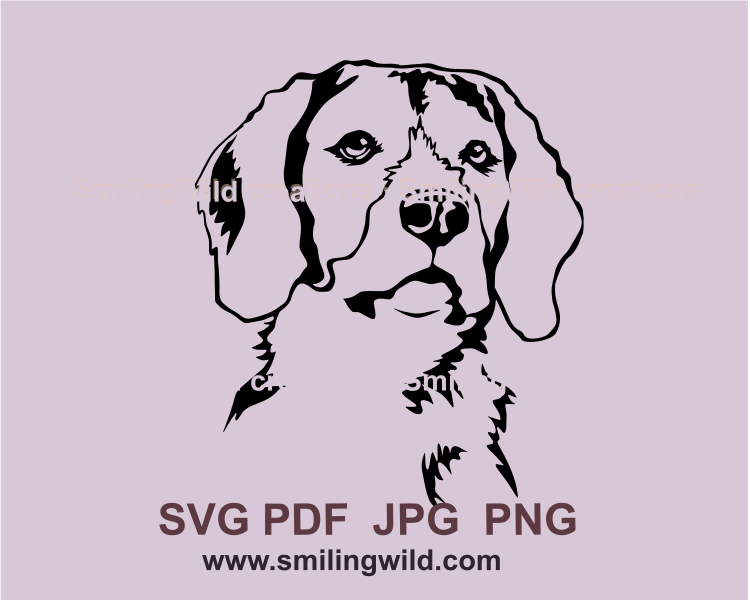 Delicate beagle face vector line art