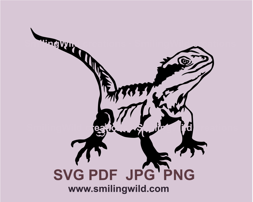 bearded dragon svg illustration in black line drawing