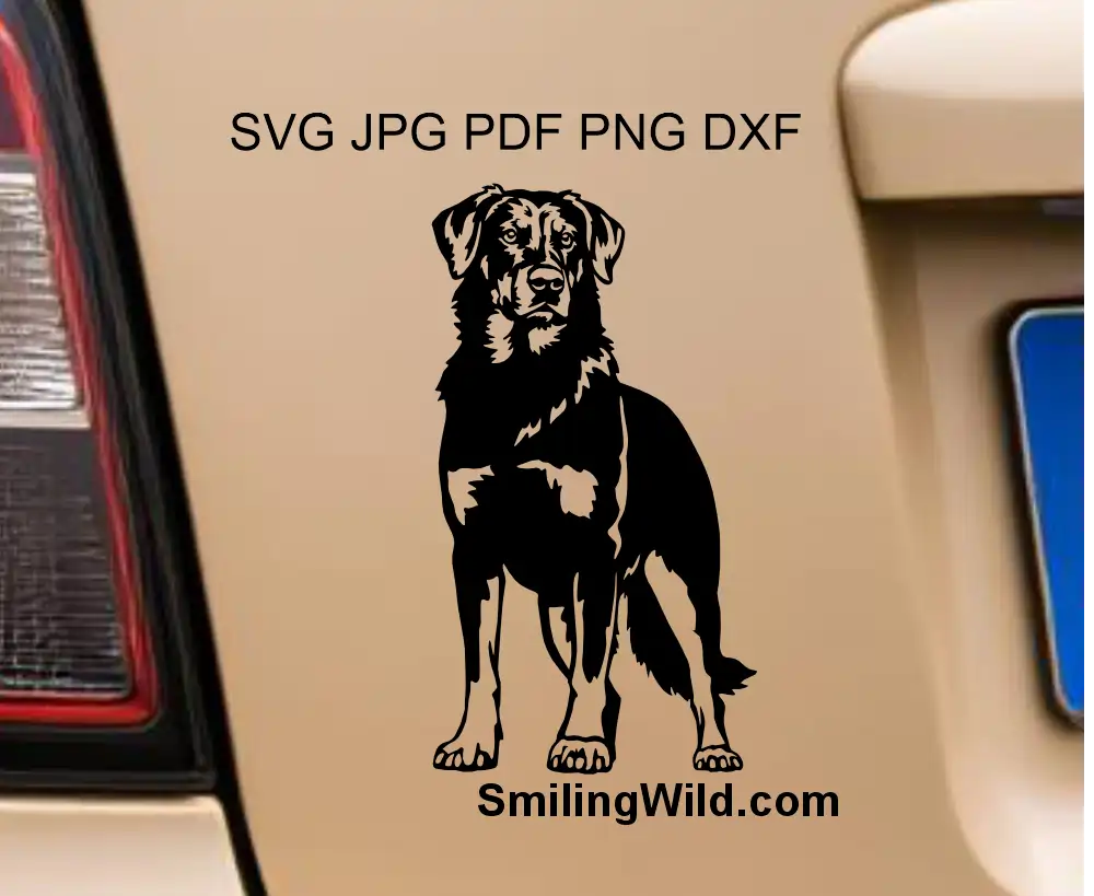 A black beauceron dog detailed drawing visualized as a car decal to present a svg and png vector clipart cut file