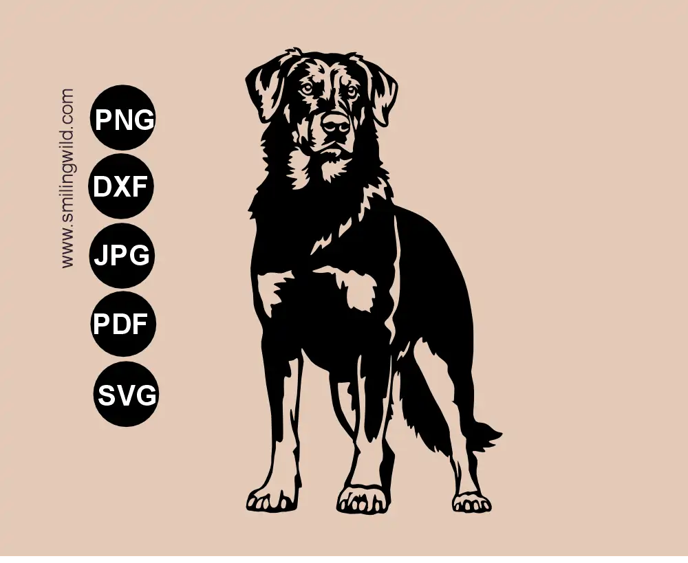 Frontal view preview of a Beauceron SVG and DXF vector graphic dog cutting file showing a detailed standing dog full body drawing.