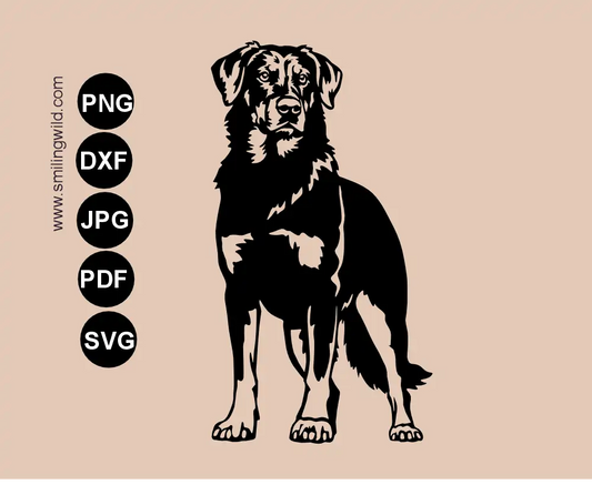 Frontal view preview of a Beauceron SVG and DXF vector graphic dog cutting file showing a detailed standing dog full body drawing.