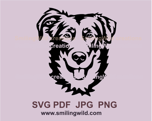 Smiling Beauceron stright looking in balck line art