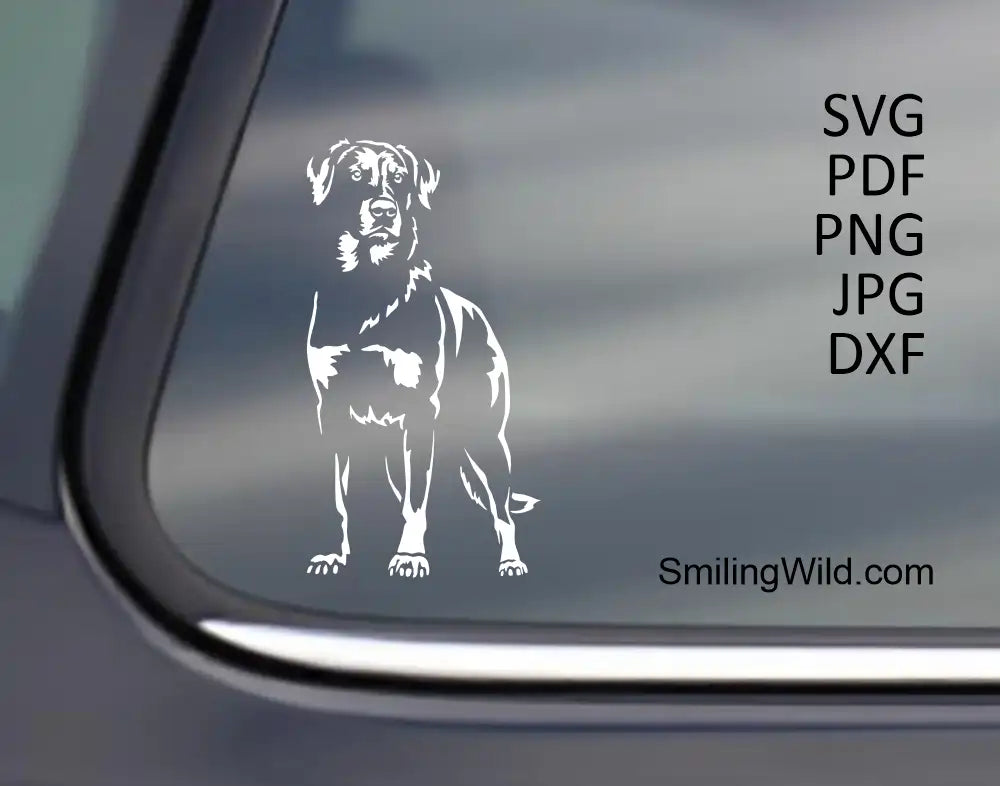 white vector graphic beauceron drawing in svg clipart visualizad as a car decal 