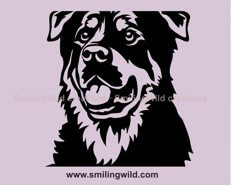 beauceron drawing close up version