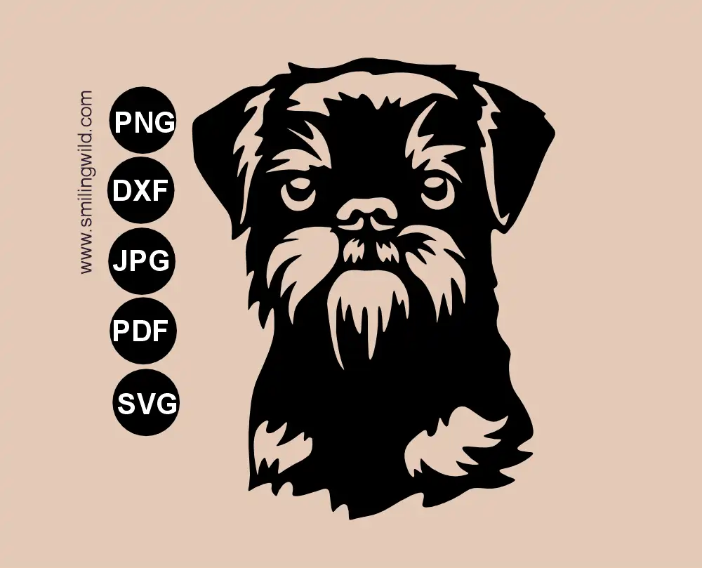 Frontal view preview of a Belgian Griffon SVG, png and dxf vector graphic portrait showing a detailed head drawing.