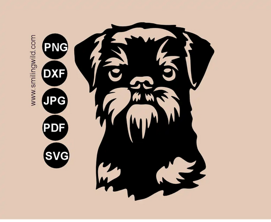 Frontal view preview of a Belgian Griffon SVG, png and dxf vector graphic portrait showing a detailed head drawing.