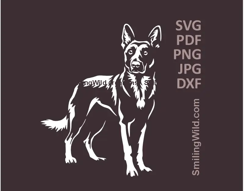 Standing Belgian Malinois Dog SVG, PNG, DXF white clipart, Shepherd dog full body pedigree graphic - a preview for Cricut, laser cutting, dog design crafts
