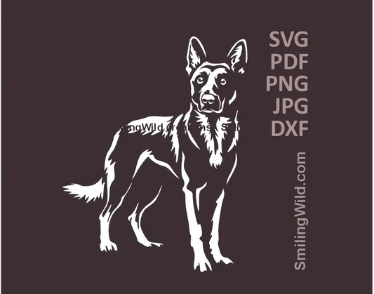 Standing Belgian Malinois Dog SVG, PNG, DXF white clipart, Shepherd dog full body pedigree graphic - a preview for Cricut, laser cutting, dog design crafts