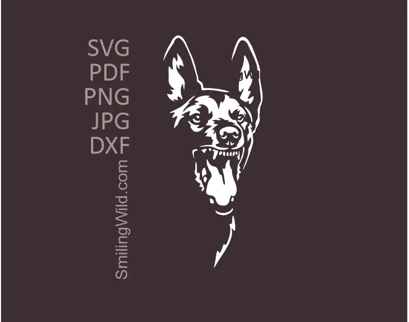 White Belgian Malinois angry dog SVG, png, dxf vector portrait clipart K9 guard dog graphic