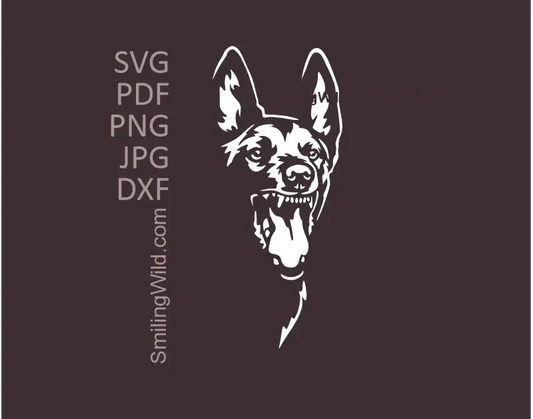 White Belgian Malinois angry dog SVG, png, dxf vector portrait clipart K9 guard dog graphic