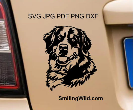 Bernese mountain dog head png and DXF portrait black vector clipart for laser engraving