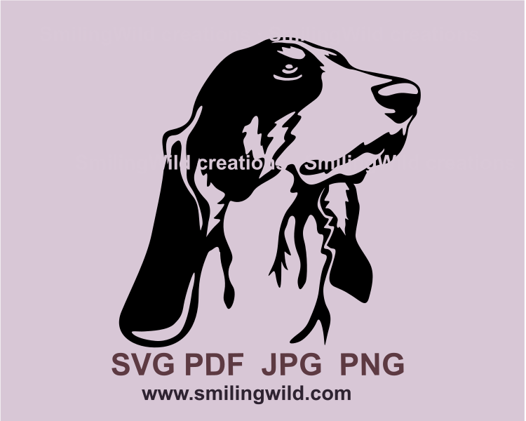 Bernese hound face made in black graphic