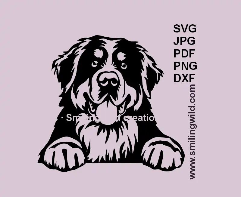 Bernese Mountain Dog peeking vector clipart in SVG, PNG, and DXF formats for Cricut and laser cutting projects