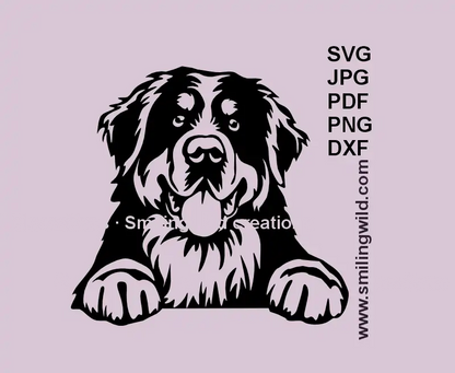 Bernese Mountain Dog peeking vector clipart in SVG, PNG, and DXF formats for Cricut and laser cutting projects