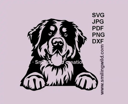 Bernese Mountain Dog peeking vector clipart in SVG, PNG, and DXF formats for Cricut and laser cutting projects