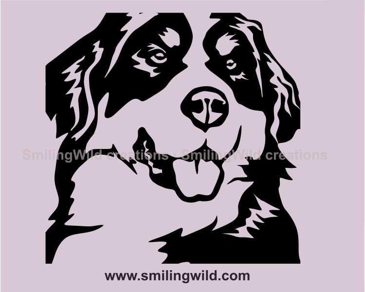 Bernese mountain dog is smiling and looking fowrward