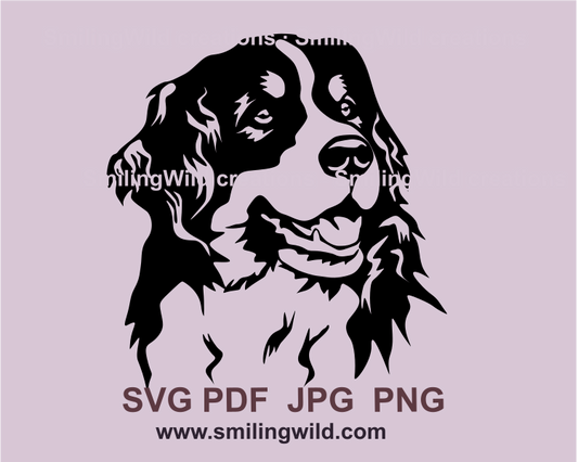 Smiling Bernese mountain dog drawing in balck graphic