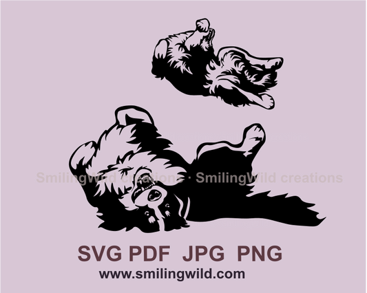 2 graphic clip art images of rolling bernese mountain dog