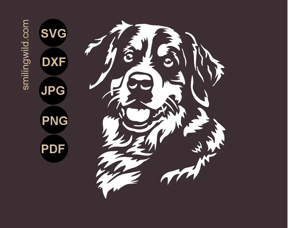 Bernese mountain dog white SVG and DXF vector cut file portrait for dark background projects focusing on dog's smiling face portrait