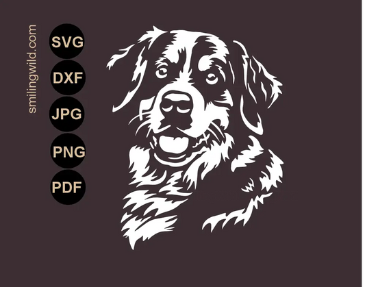 Bernese mountain dog white SVG and DXF vector cut file portrait for dark background projects focusing on dog's smiling face portrait