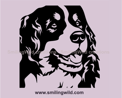 Bernese mountain dog face close up portrait