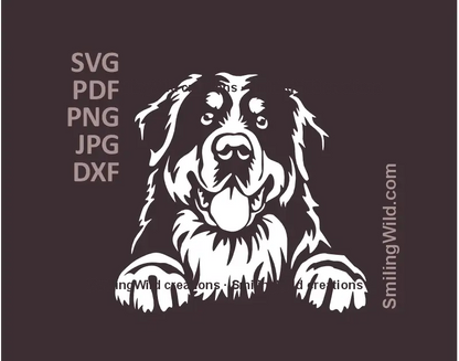 White peeking Bernese Mountain Dog head in SVG png dxf  files – part of black and white dog vector clipart collection, ideal for laser and Cricut crafts.