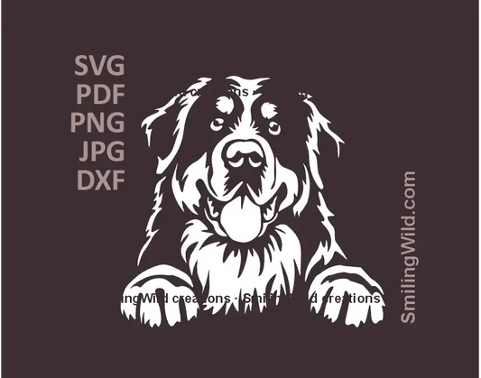 White peeking Bernese Mountain Dog head in SVG png dxf  files – part of black and white dog vector clipart collection, ideal for laser and Cricut crafts.