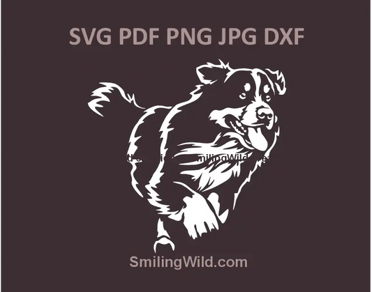 White SVG of a running Bernese Mountain Dog for Cricut and laser cutting