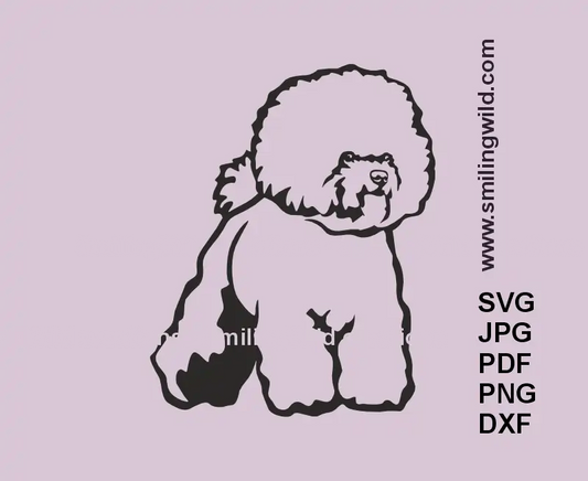 Realistic Bichon Frise full body SVG graphic – dog clipart for laser cutting and engraving