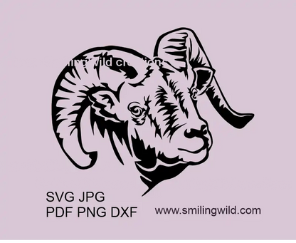 Bighorn Sheep SVG PNG DXF head portrait showcasing a wild mountain goat vector graphic for Cricut and laser cutting projects