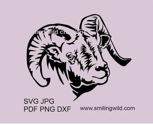 Bighorn Sheep SVG PNG DXF head portrait showcasing a wild mountain goat vector graphic for Cricut and laser cutting projects