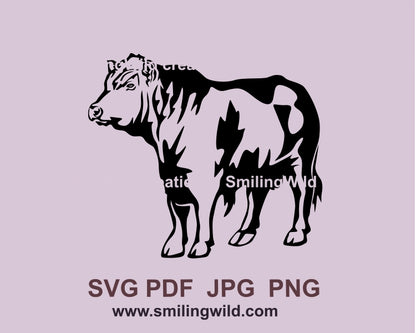 Black Angus bull full body SVG PNG vector clip art for Cricut and laser cutting