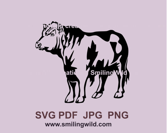 Black Angus bull full body SVG PNG vector clip art for Cricut and laser cutting