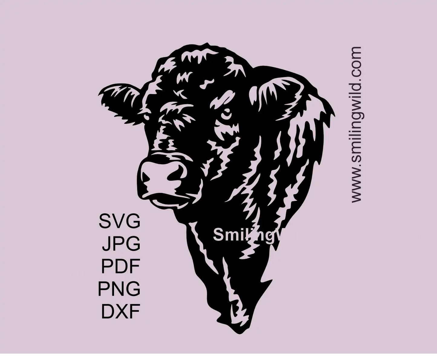 Black Galloway bull head clipart to present farm animal svg, png and dxf file set for cutting
